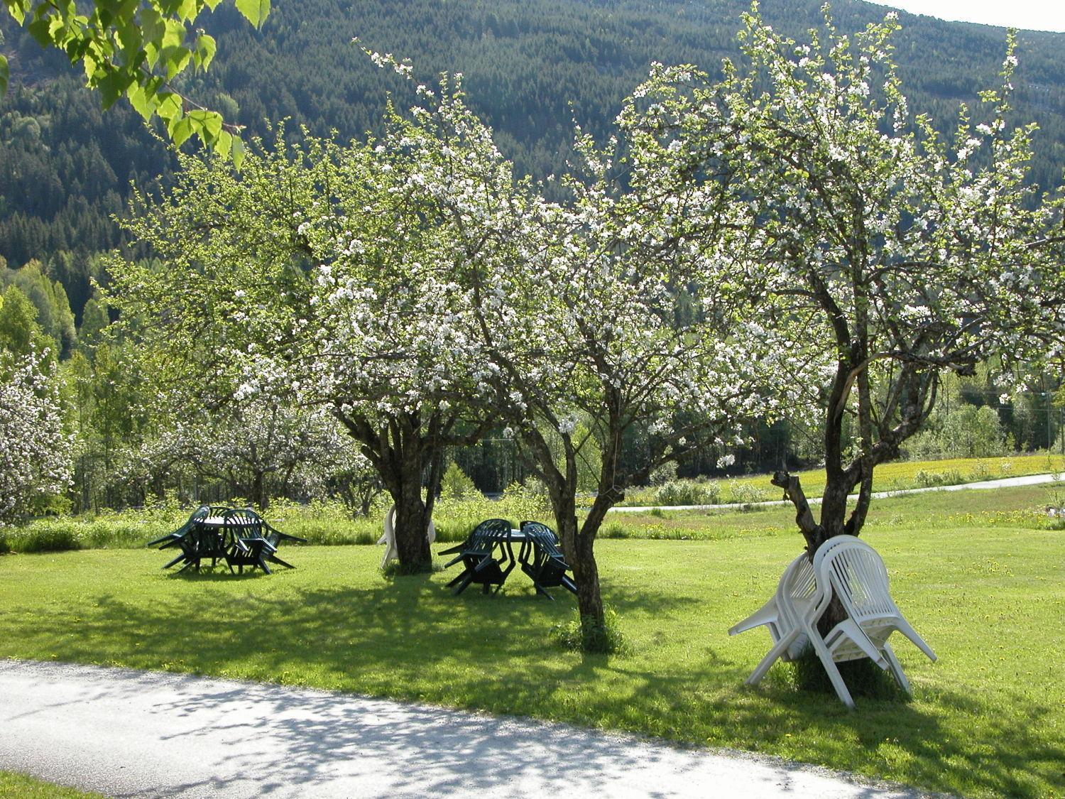 Smedsgarden Hotel Nesbyen Kültér fotó