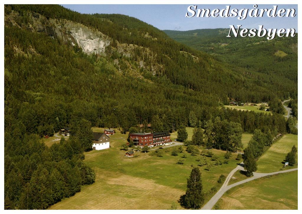 Smedsgarden Hotel Nesbyen Kültér fotó